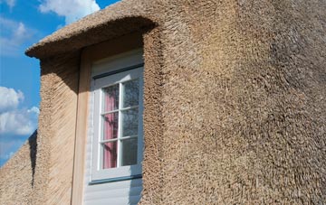 Spath thatch roof disadvantages
